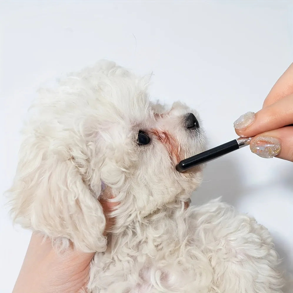 Black pet grooming brush with soft rubber bristles and stainless steel comb teeth for dogs and cats