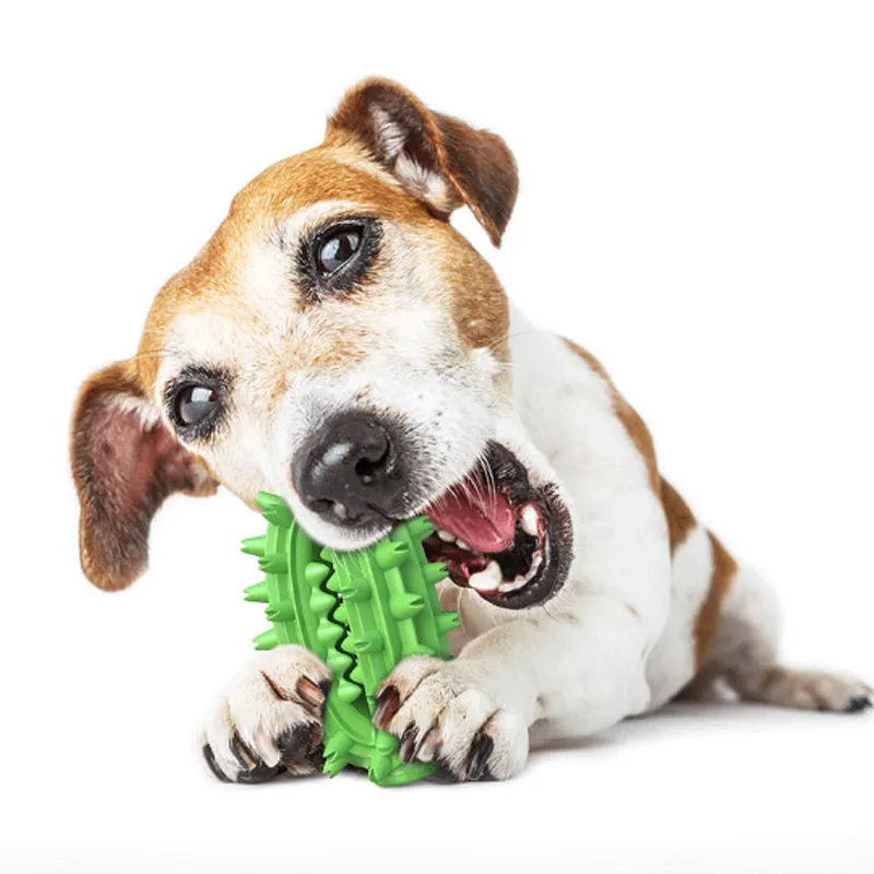 Green cactus-shaped dog chew toy for dental cleaning, made from food-grade rubber.