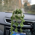 Green and white knitted wool car plant decoration hanging from a rope.