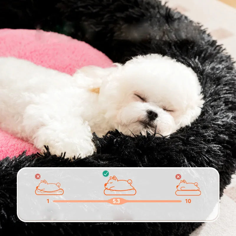 Blue plush kennel sleeping mat with raised edge for pets, shown next to size guide for XS, S, M, L.