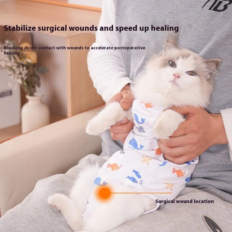 Grey cat wearing a patterned post-operation recovery suit with Velcro fastenings on its back.