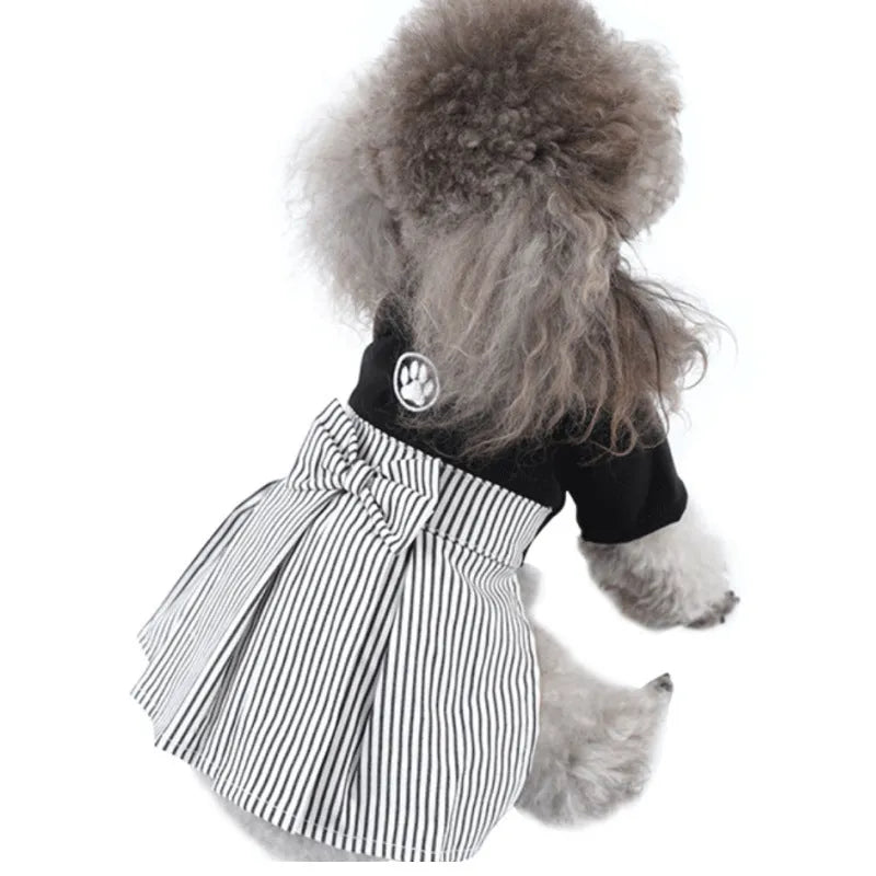 Cotton poodle dog clothes in skirt or four-legged pants styles for spring and autumn wear
