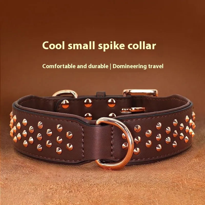 Brown leather dog collar with metal rivet studs, shown on a black background.