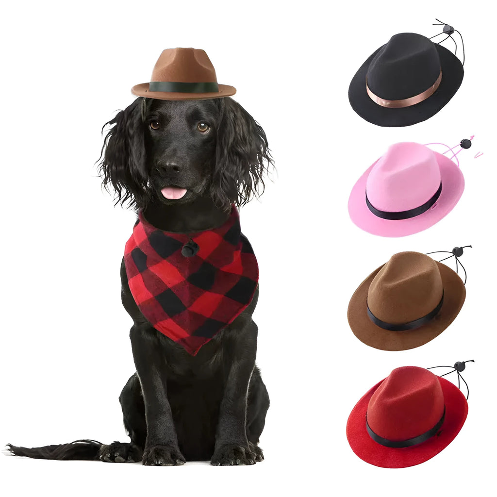 Sun-proof mini pet hat S size 155cm diameter in wool felt material with monochrome pattern