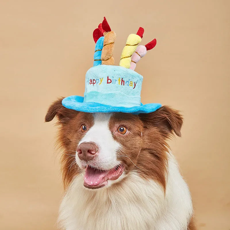 Small dog birthday hat in soft fabric with elastic band, blue and pink colour options