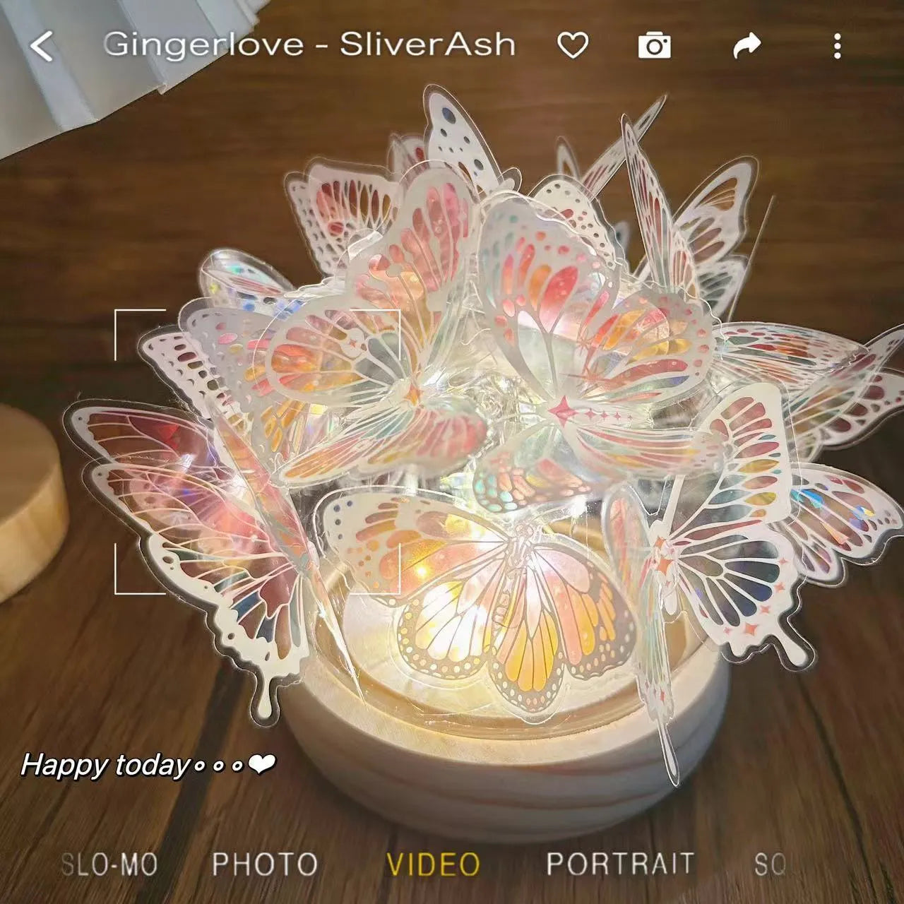 Handmade butterfly bedside lamp with glass shade and raw wood base in 12x15cm size