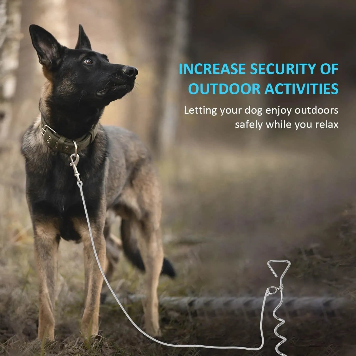 Medium spiral dog tie out stake made of solid steel for secure outdoor tethering in sandy soil