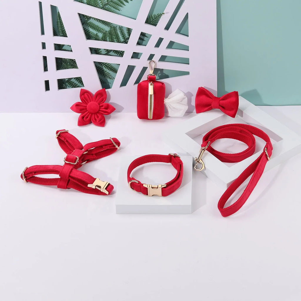 Classic velvet pet collar and traction rope harness set with decorative bow tie and flower for dogs and cats