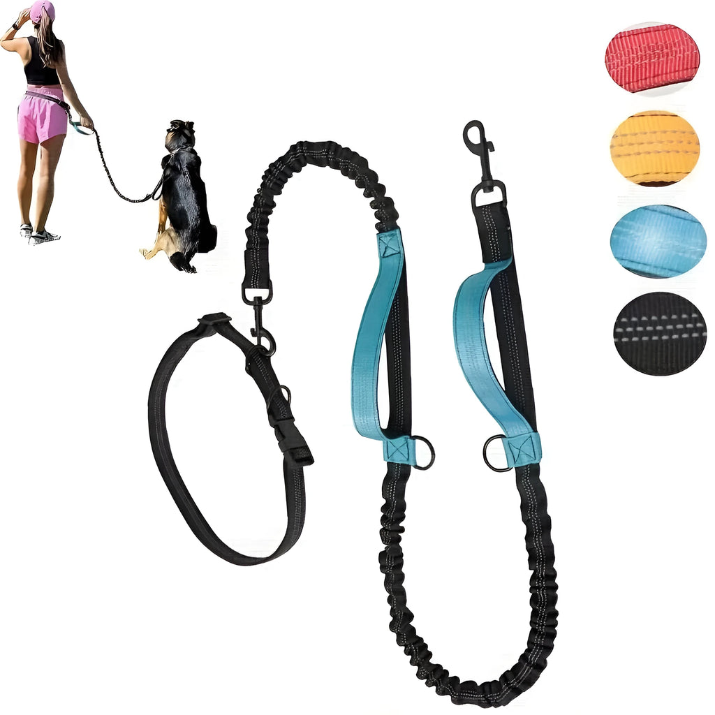 Hands-free dog leash with adjustable waist belt in durable nylon, available in five colours for running and walking