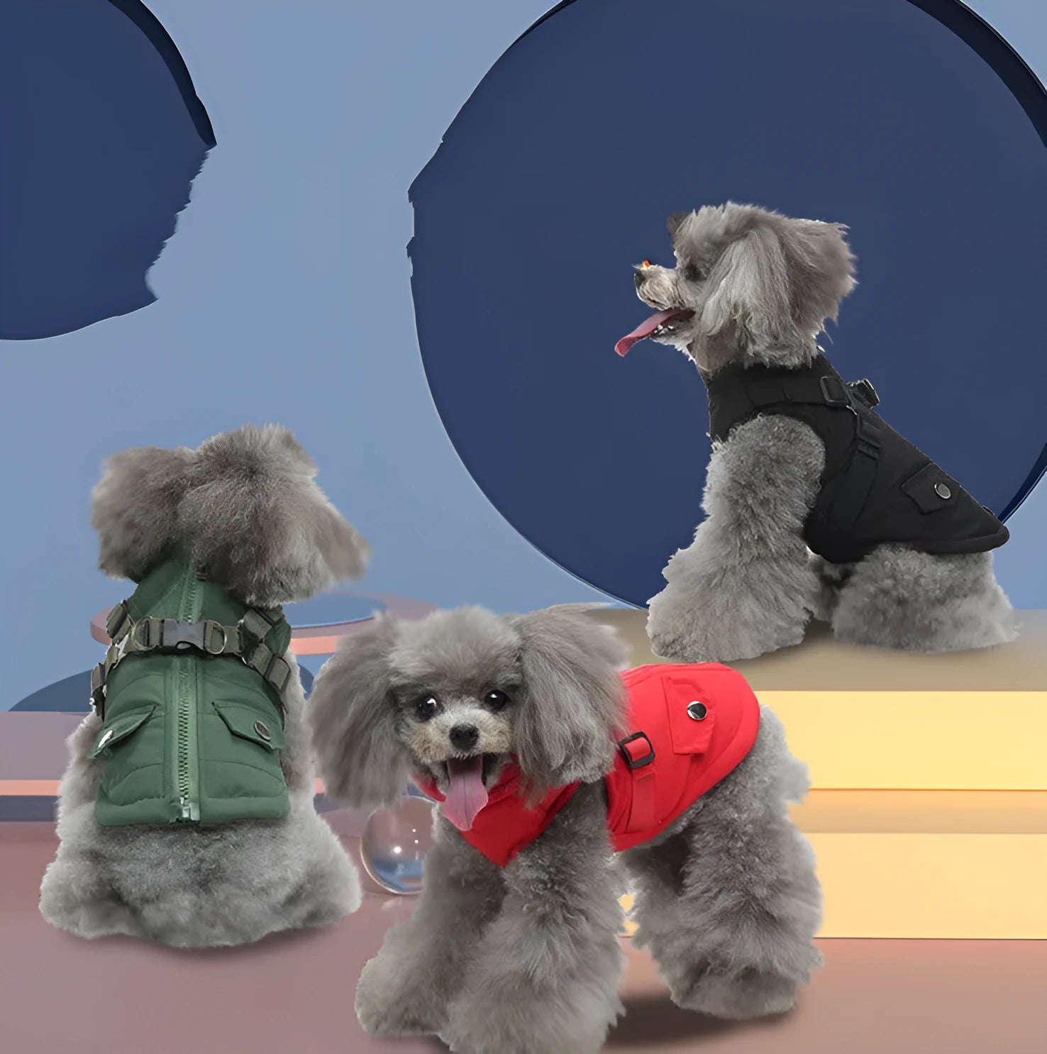 Pet winter cotton dog jacket with zipper in black on a dog outdoors