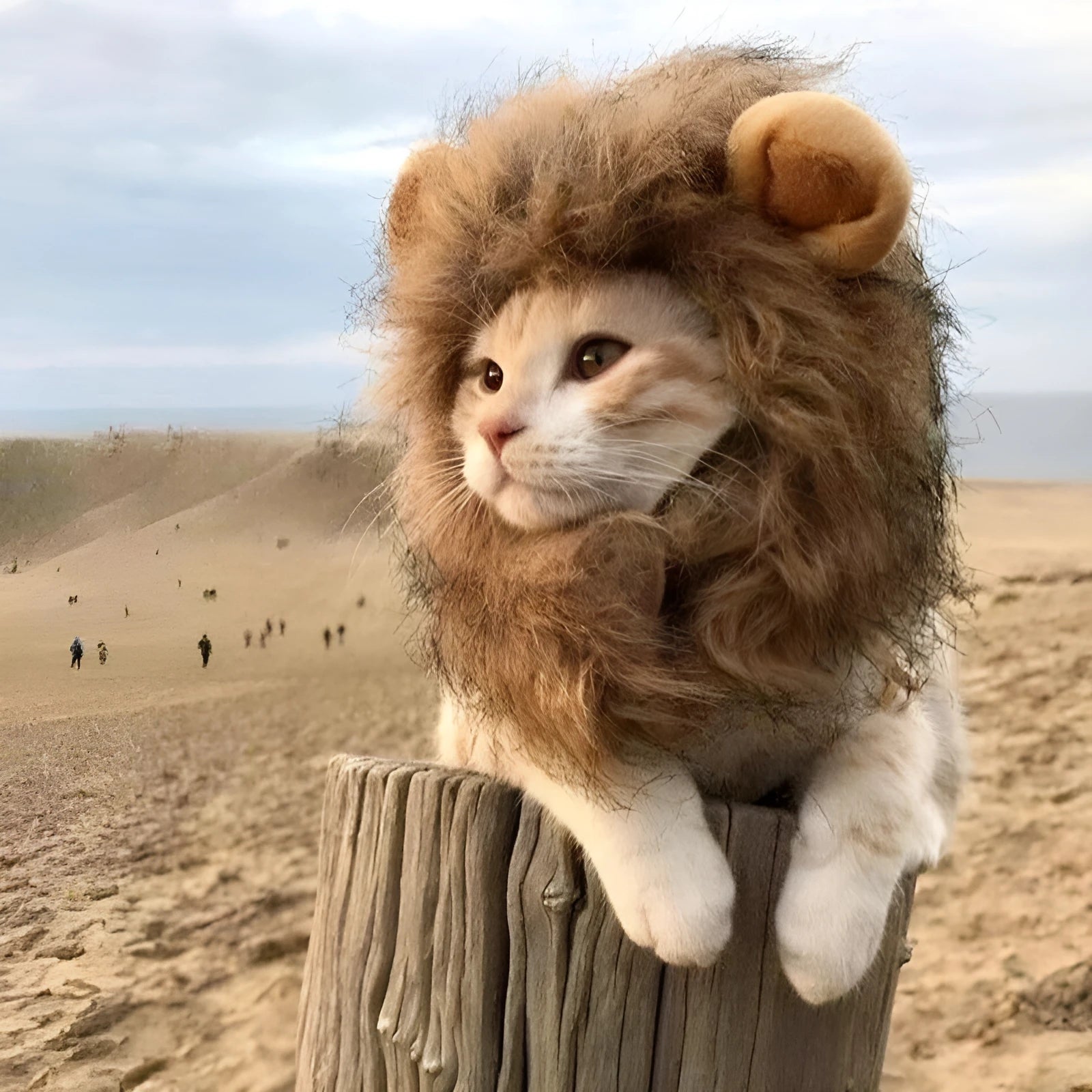Lion mane wig for cats and small dogs with plush ears and fluffy artificial hair