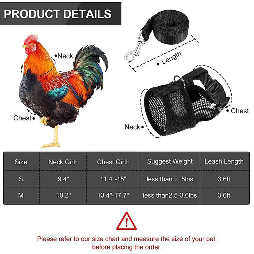 Colourful chicken vest harness and collar set for ducks and hens with a traction rope.