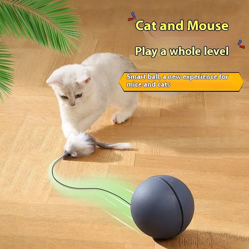 Automatic cat teasing ball with plush mouse attachment in blue orange and dark grey colour options
