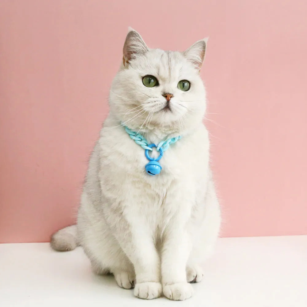Macaron candy colour plastic pet collar for cats dogs rabbits on a white background