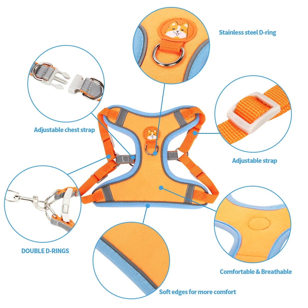 Adjustable rope dog harness in multiple colours with anti-breaking construction