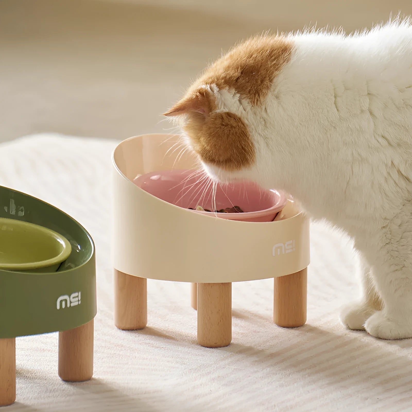 Blue purple cat ceramic food basin with high foot and oblique mouth on beech wooden feet