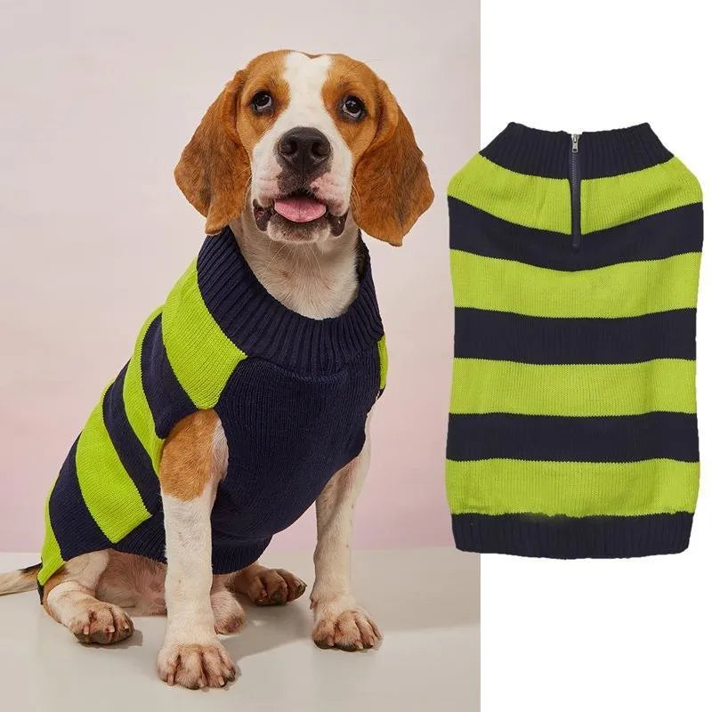 Small dog wearing grey sweater with horizontal zip and button pockets