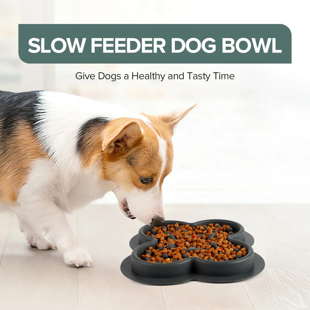 Silicone pet licking pad slow feeder in green colour on kitchen floor