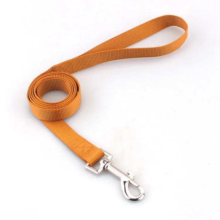Solid colour nylon dog walking leash in blue held in a hand, showing the single rope design and hand loop.
