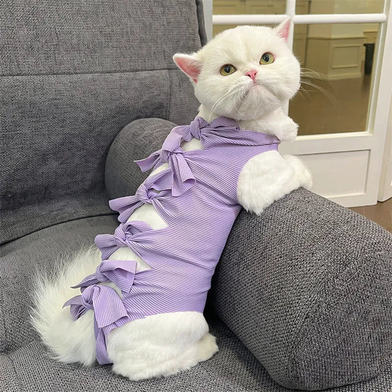 Lace-up polyester cat recovery suit in blue colour, shown on a cat model.