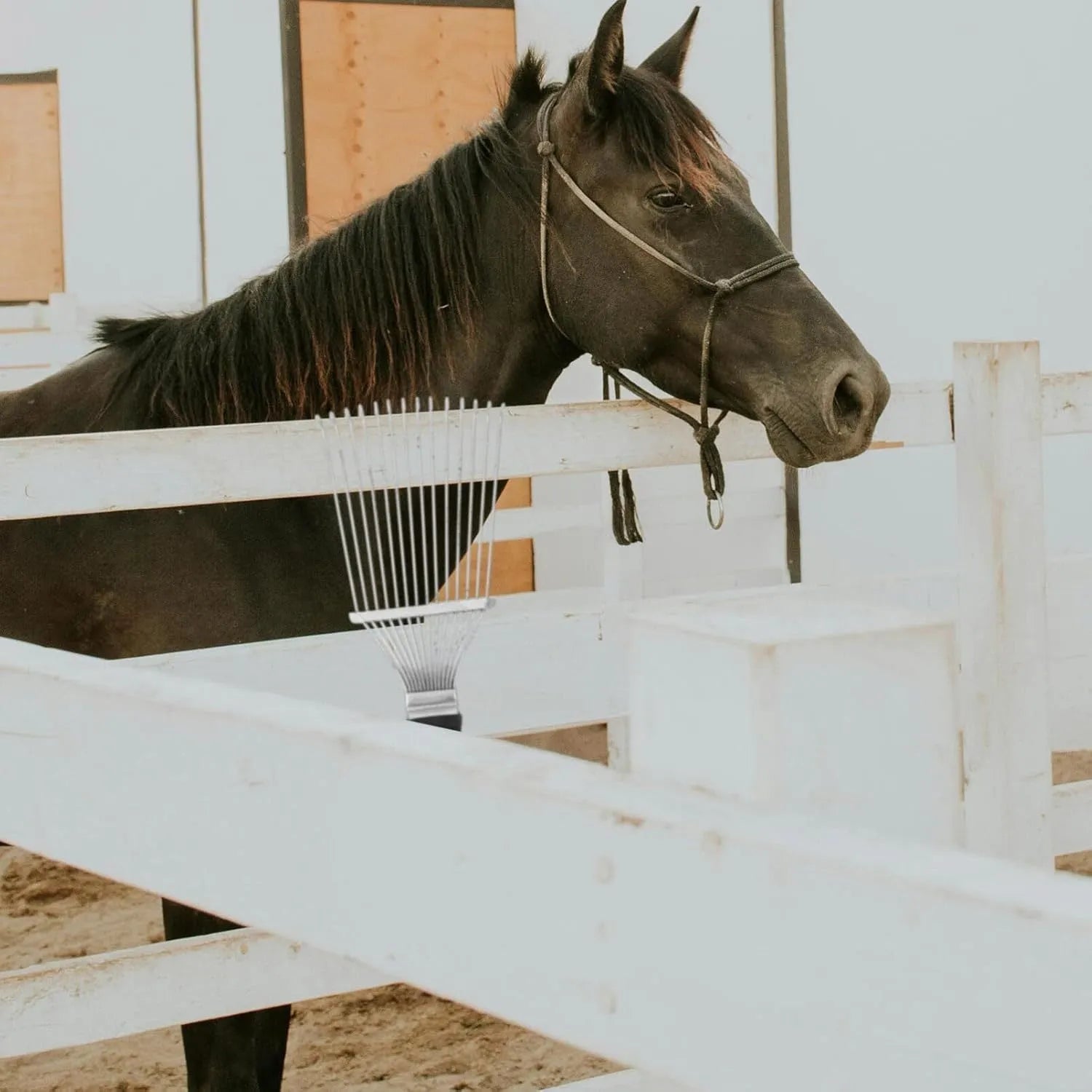 Stainless steel livestock grooming rake comb for horses and dogs on a dark background.
