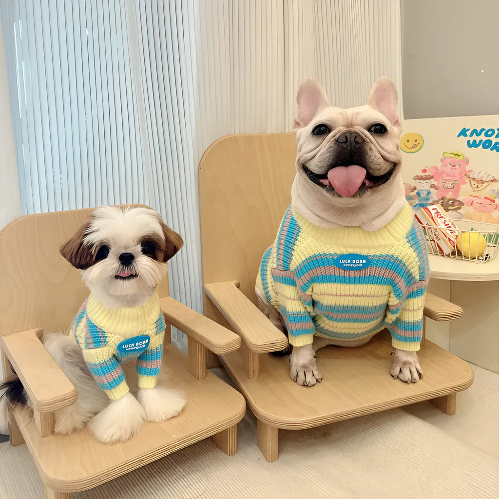 Blue and yellow striped wool sweater for a small dog, shown in size L.