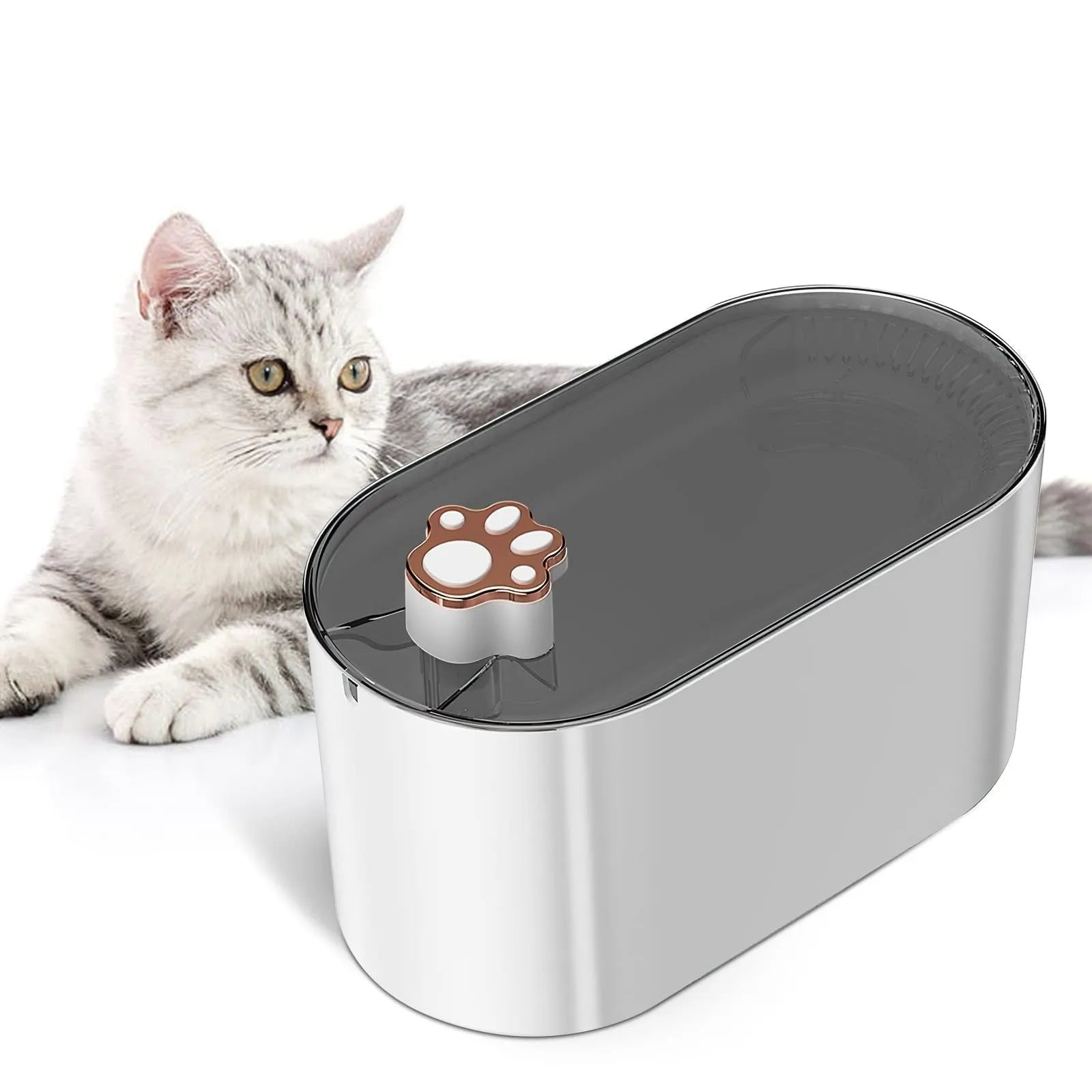 3L automatic pet water fountain with quiet pump and LED light for cats and dogs