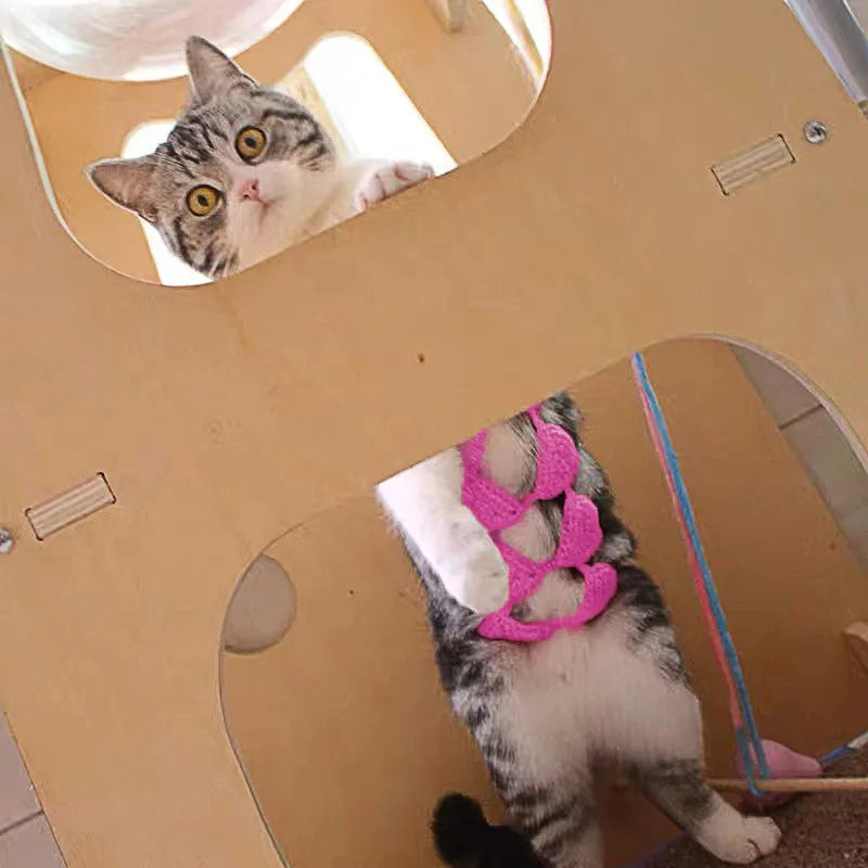 Cat wearing bikini costume in various colours for Halloween or party events