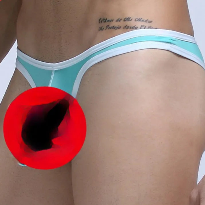 Men's ice silk nylon briefs in elephant nose small cut design showing multiple colour options