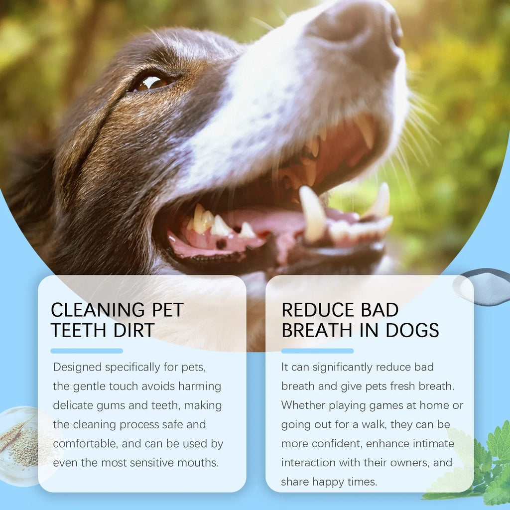 Soft-bristled pet toothbrush pen with integrated 3ml toothpaste for cats and dogs