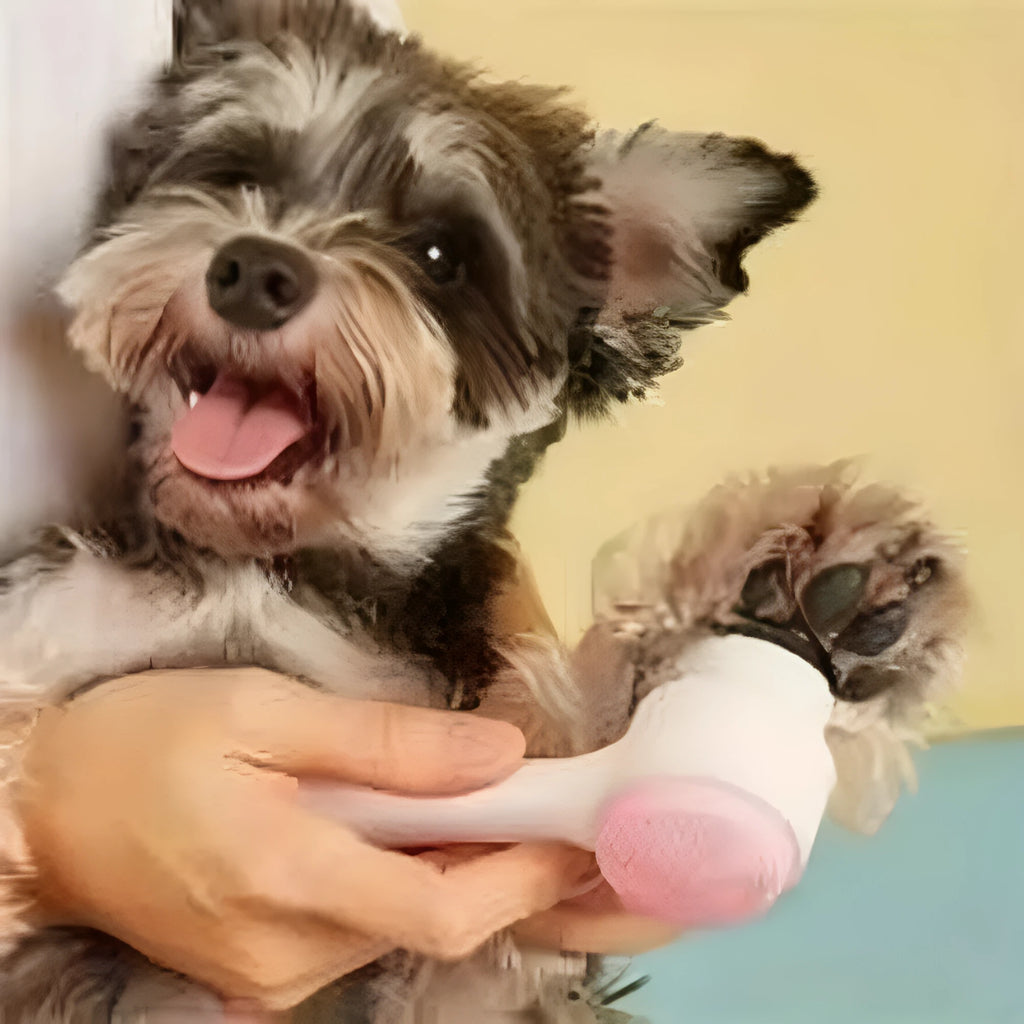 Blue nylon pet paw brush grooming tool for dogs and cats on white background