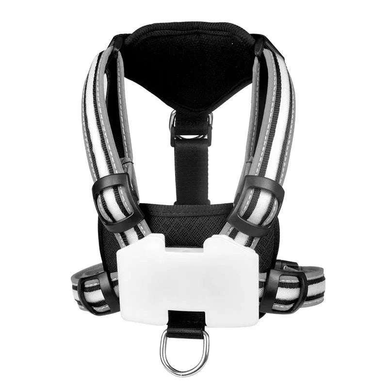 Nylon dog lead with multi-colour LED lights and a USB charging cable on a grey background