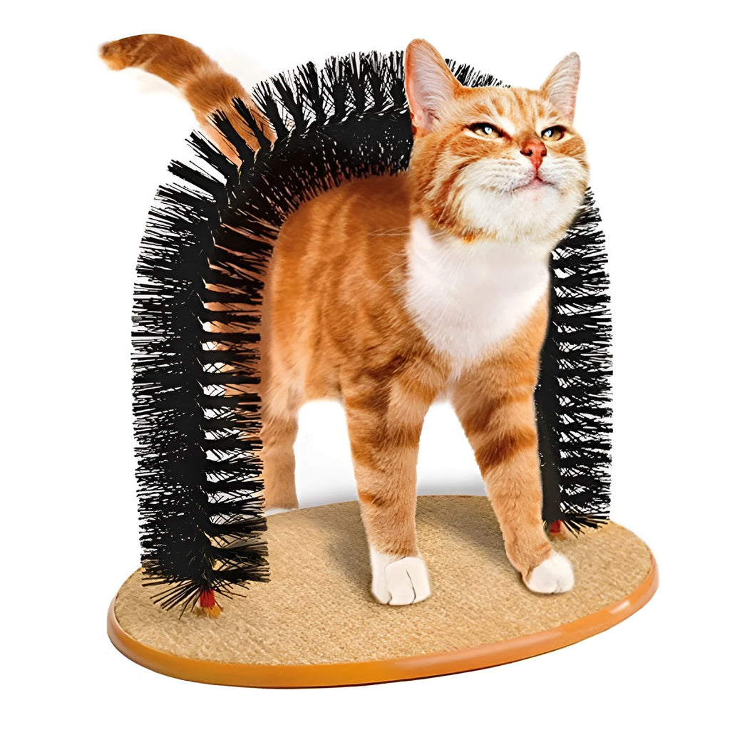 Arched plastic cat grooming station with built-in brush for scratching and self-grooming