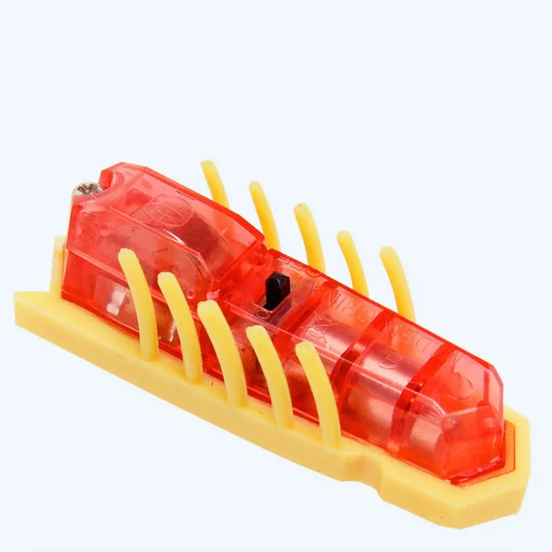 Electric bug cat toy showing ladybird design with motorised movement on flat surface