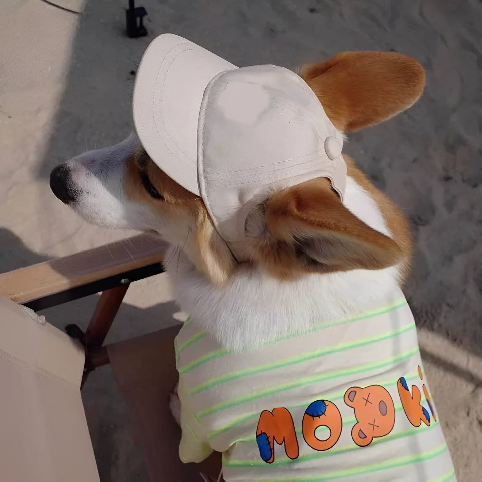 Cotton sun-proof exposed ears pet baseball cap in apricot with adjustable strap, suitable for dogs and cats.