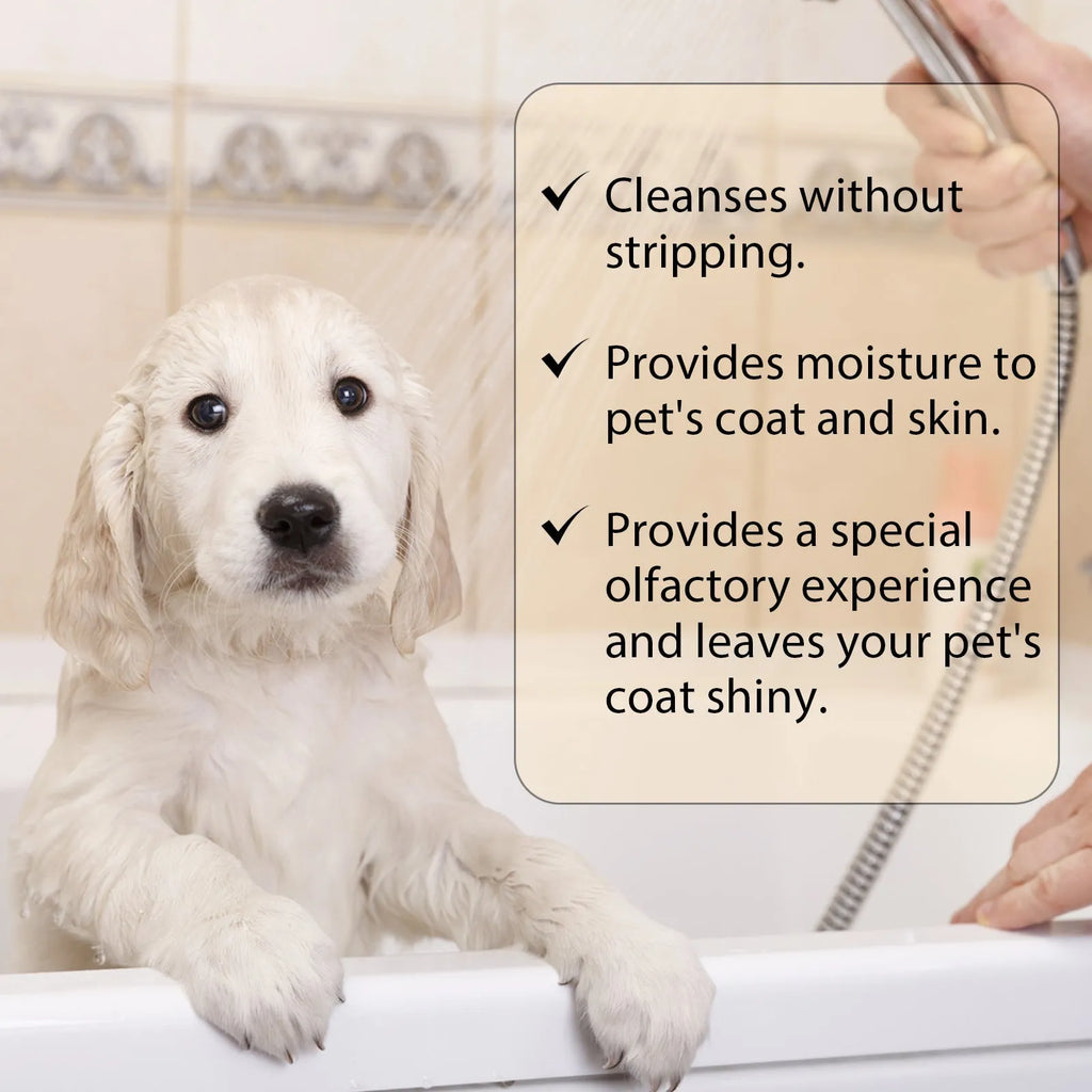 Bottle of mild pet shampoo for dogs in 100ml or 300ml size for gentle cleaning and detangling