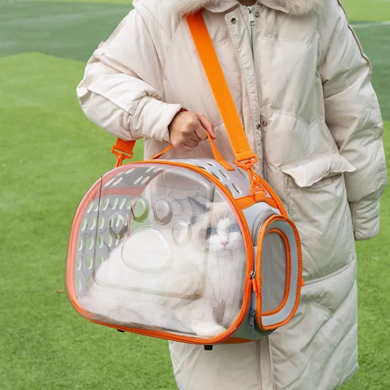 Large transparent EVA cat backpack space capsule design in grass green colour with hard shell construction