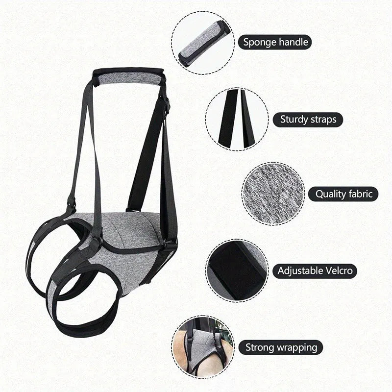 Grey neoprene dog rear leg recovery belt showing adjustable design for injury support
