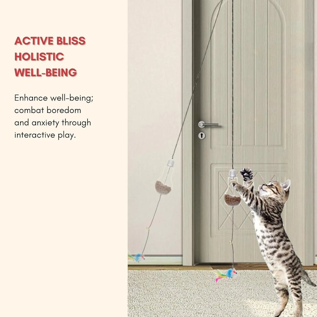 Interactive cat toy with elastic cord, dangling mouse and chicken toys, and treat dispenser bulb