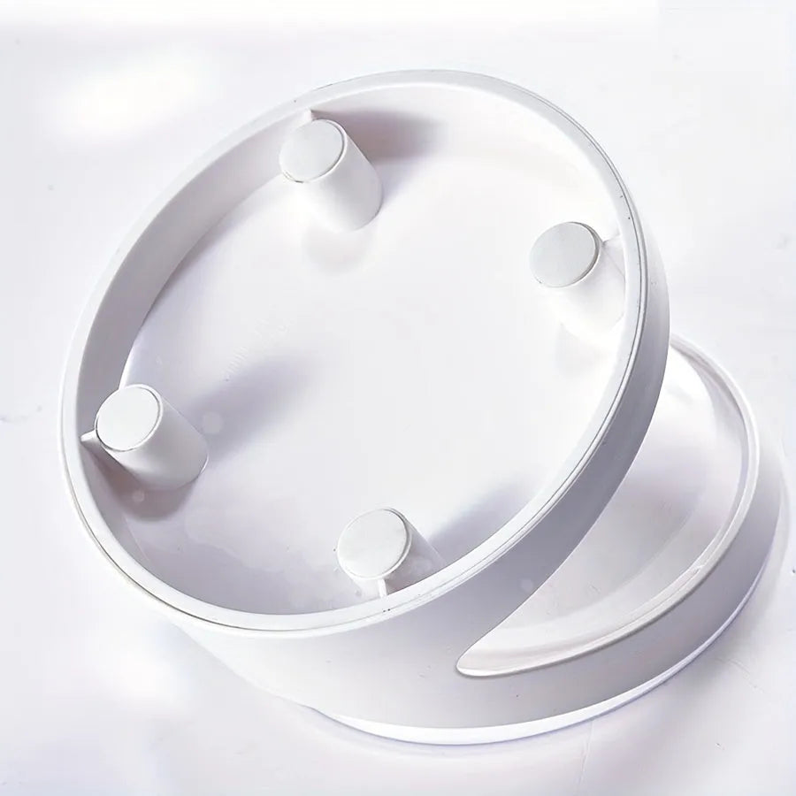 Clear white elevated cat food bowl with ergonomic tilt design for neck support