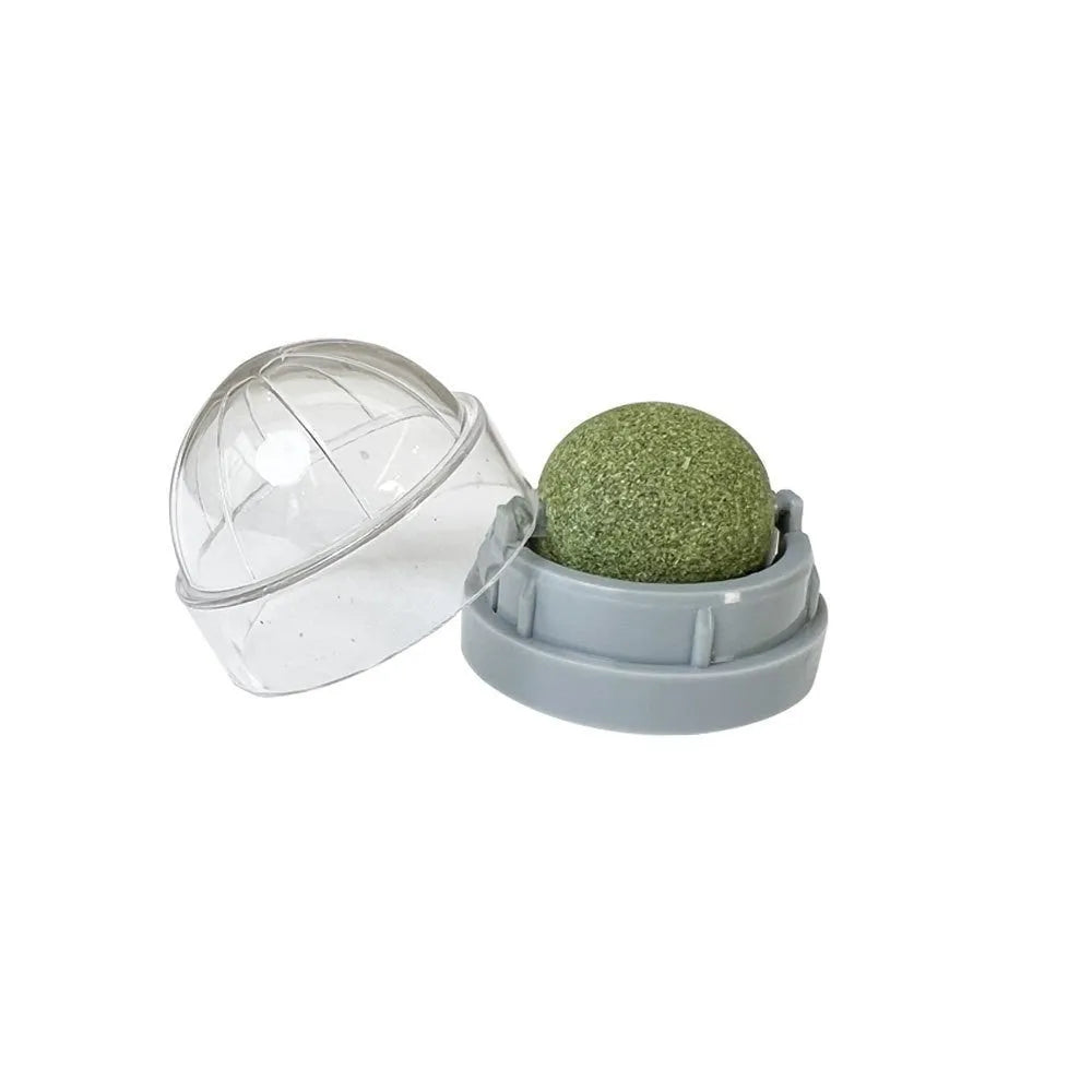 Plastic catnip ball cat toy for teeth cleaning in assorted colours including pink, blue, green.