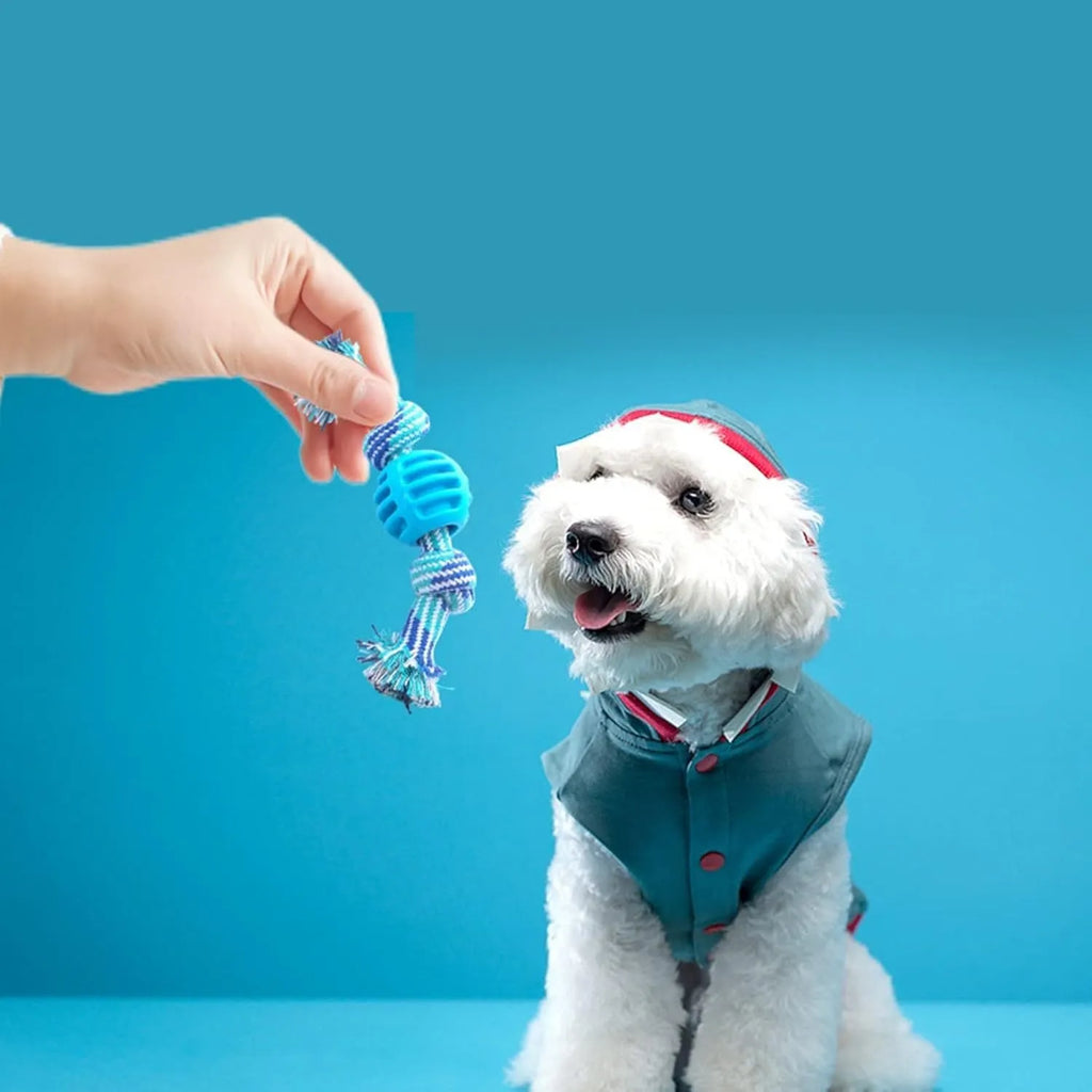 Blue dog chew toy with rope strands for dental care, 23 cm length
