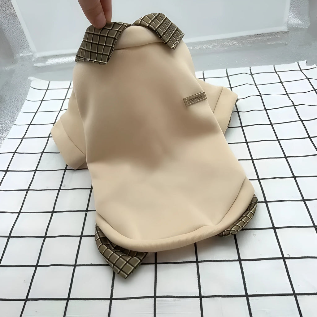 Grey dog sweater with detachable collar hoodie on pet model