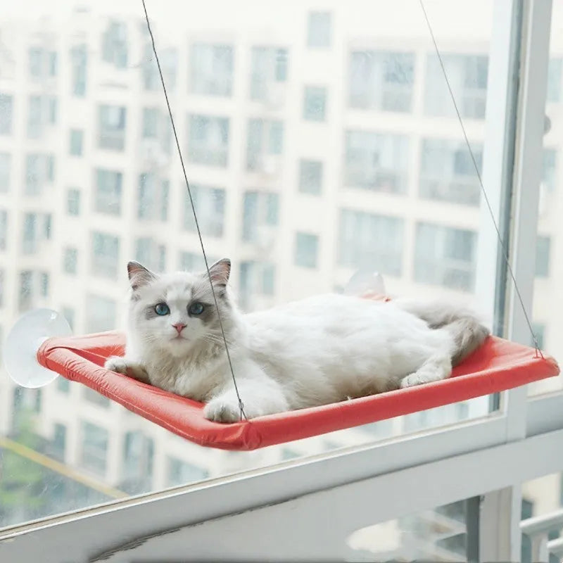 Grey cat lying on an Oxford cloth pet litter sucker hanging window hammock with suction cups attached to glass