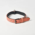 Anti-loss pet Alaskan neck collar in leather, available in multiple colours, for dogs and cats, sizes XS to XL