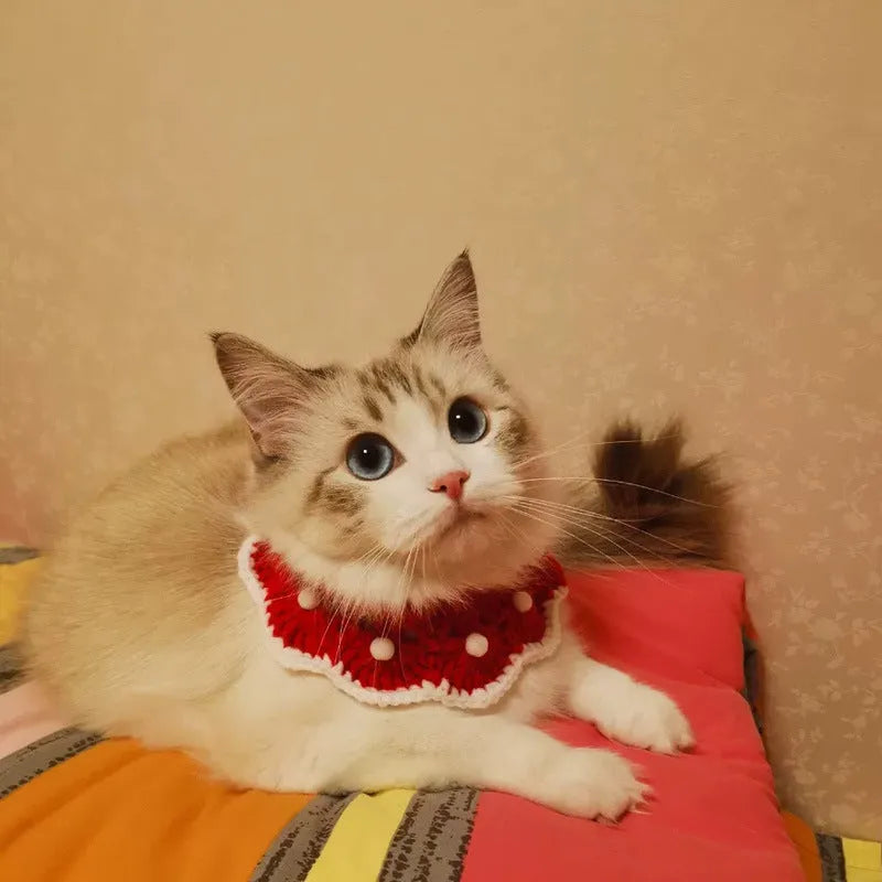 A soft milk cotton knitted pet collar with a cartoon pattern, shown in a selected colour.
