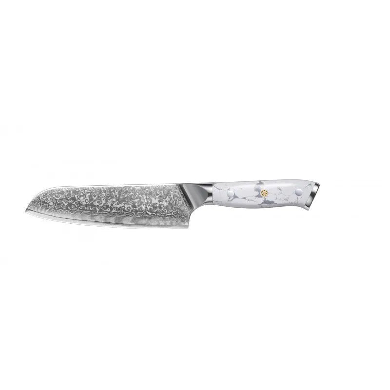 Damascus chef's knife with 21cm VG10 steel blade and modern handle design