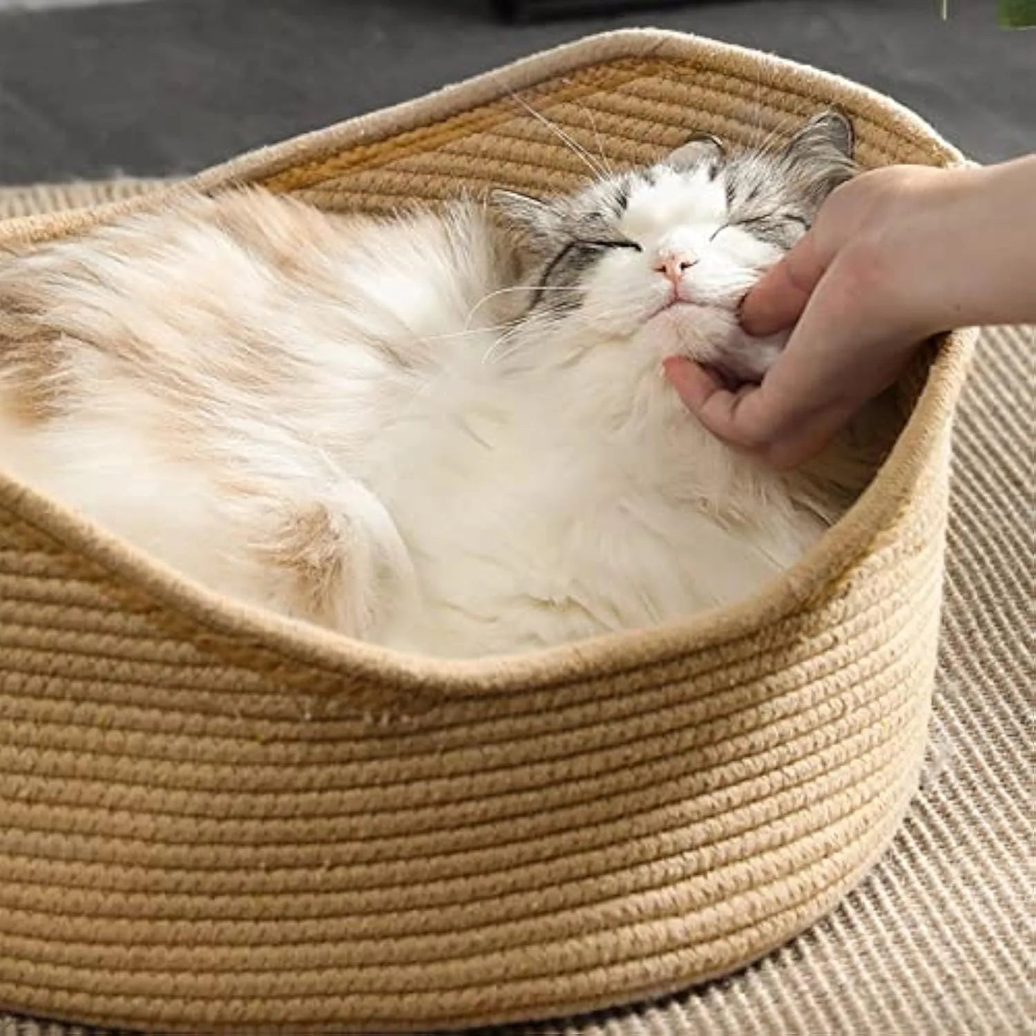 Wicker cat bed basket with corrugated scratching board in two size options for cats
