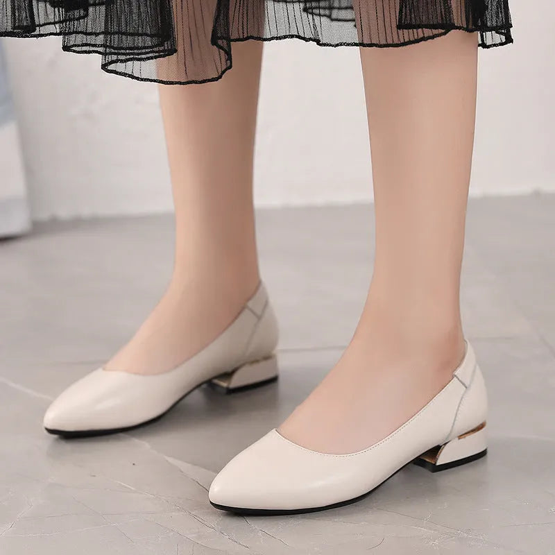 Autumn cowhide flat pointed low-cut shoes in beige with low heel and buckle fastening