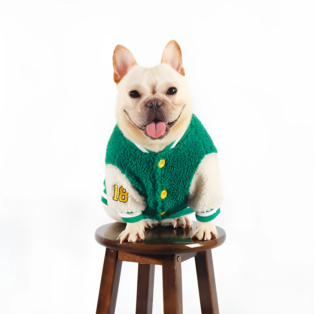 Green fleece-lined cotton dog winter clothing shown in larger size for cold weather walks